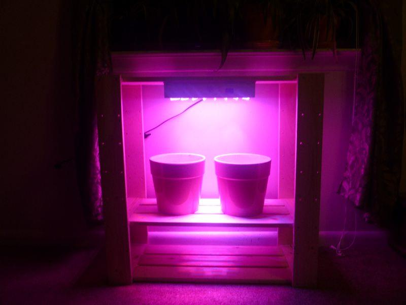 Éclairer nos plantes avec des LED!!! File