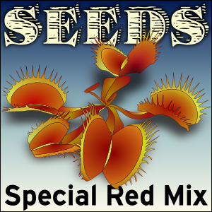 Special Red Mix Venus flytrap seed