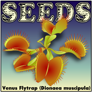 Venus flytrap seed from Brunswick County, NC