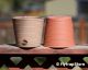 Heat Resistand and Biodegradable pots