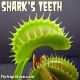 Shark's Teeth