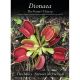 Dionaea The Venus's Flytrap