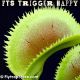 FTS Trigger Happy Venus flytrap