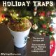 FlytrapStore Holiday Traps Special