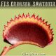 FTS Crimson Sawtooth