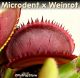 Microdent x Weinrot Venus fly trap