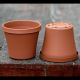 Plastic terracotta 4-inch pots for Venus flytraps