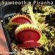 Sawtooth x Piranha Venus Fly Trap