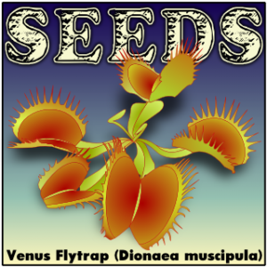 Dionaea muscipula seed