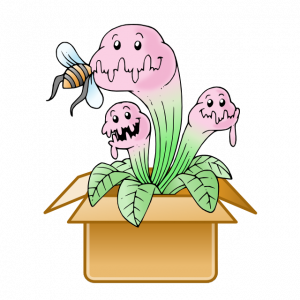 Mystery Box - Carnivorous Plants Cheap!