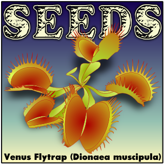 SummerRio 50 Pieces Flytrap Plants Seed Rare Venus Flytrap Seed Dionaea muscipula Carnivorous Plant Hardy Perennial for Garden Balcony Seeds House 